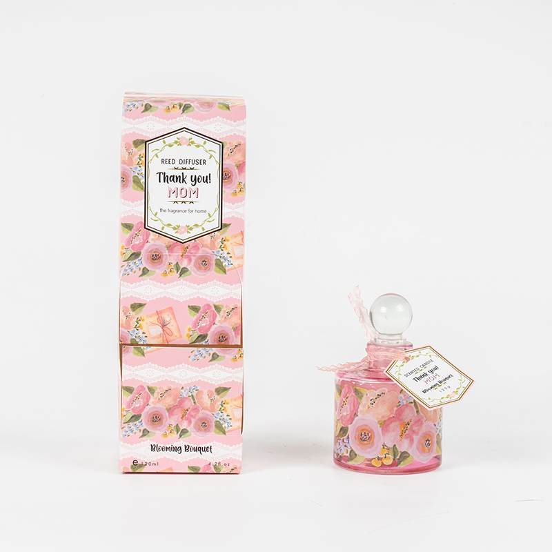 Morsdag elegant rund glassflaske siv diffuser